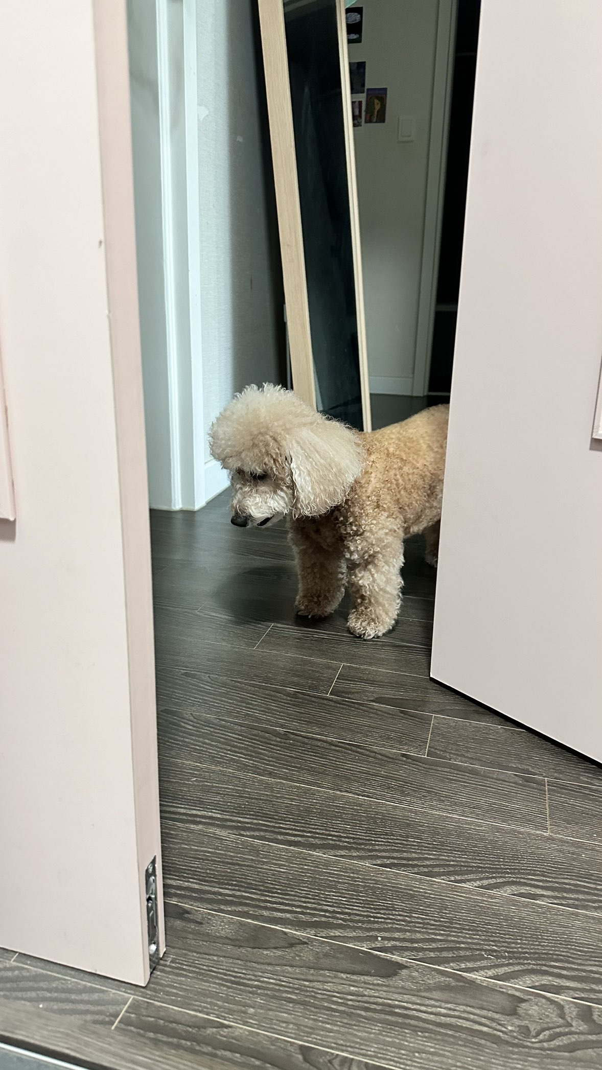 이웃광고오