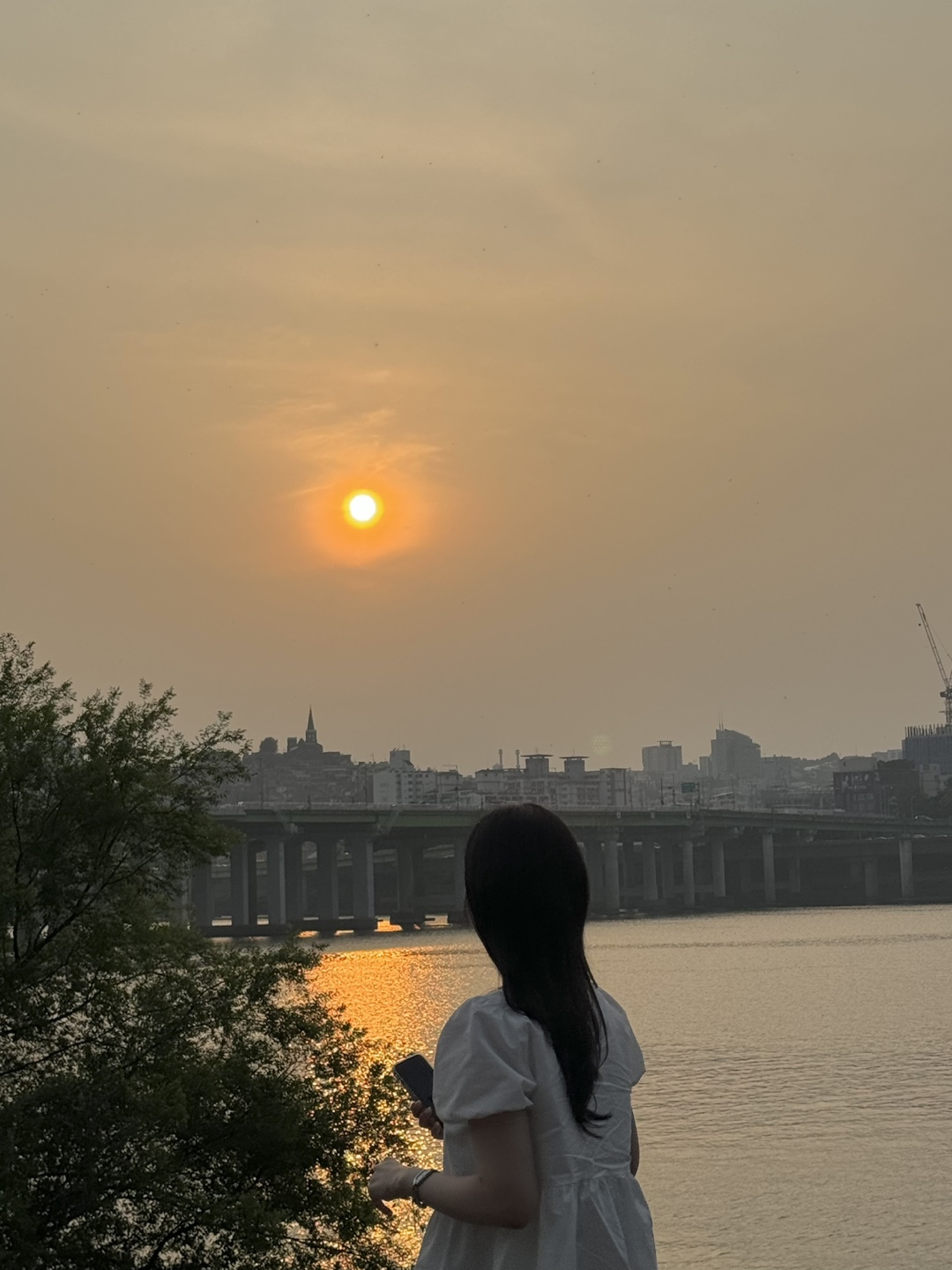 배고푸미배고푸미배고푸미